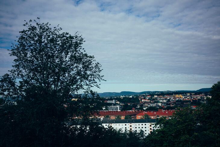 Utsikt over Oslo, trær i forgrunnen.